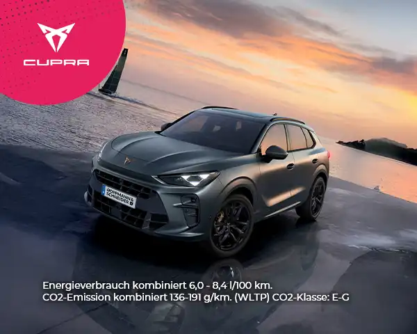 Cupra Terramar VZ